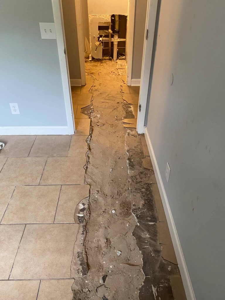 Saylor Grace Plumbing LLC's image